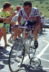 Stephen roche